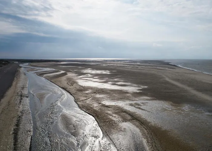 Le Lierre , 2eme Etage