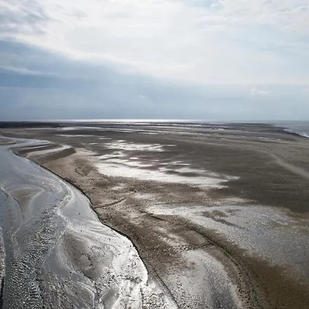 Le Lierre , 2ème Etage